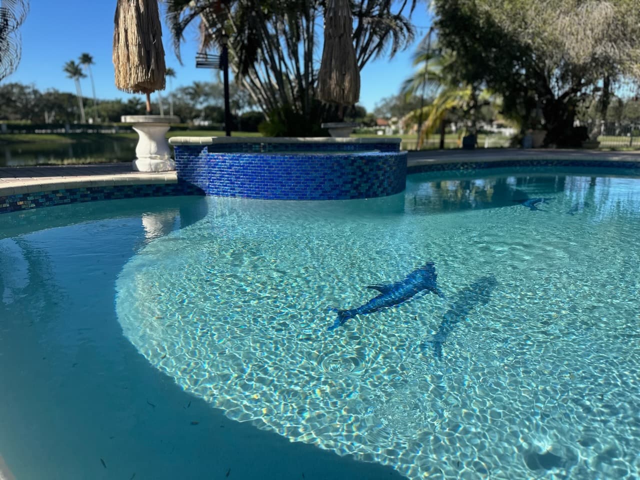 Pool renovation and outdoor living project photo 38 - Blue Clair Pool South Florida